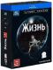 обложка BBC: Жизнь. Подарочное издание (4 Blu-ray)